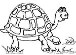 coloriage enfant Tortues