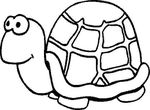 dessin enfant Tortues