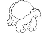 coloriage enfant Tortues