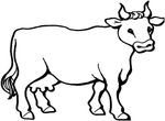 coloriage enfant Vaches