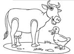 coloriage enfant Vaches