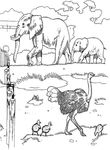 coloriage enfant Zoo