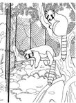 coloriage enfant Zoo